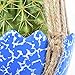 Homebunnyy Plant Hanger Macrame Jute 4 Legs Hanging Rope Plant Hangers 40 Inch for Indoor Outdoor Decorative Room Garden Flower Pots with Beads