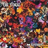 Butterfly House [Box Set]