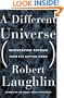 A Different Universe: Reinventing Physics from the Bottom Down
