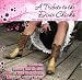 A Tribute to the Dixie Chicks