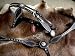 Bridle Headstall Breast collar Set with Black Leather and Silver Conchos