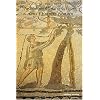 Arch�ologie du vin et de l'huile dans l'Empire romain