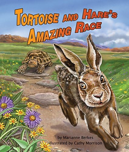 Tortoise and Hare's Amazing Race, The