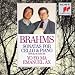 Brahms: Sonatas for Cello and Piano