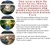 Check out The Guru's How To Earn Extra Money, Success Principles and eCommerce for Potty Training Pants Businesses 3 CD Power Pack