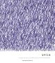 Speck: Curious Collection of Uncommon Things