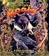 The Life Cycle of a Koala (The Life Cycle)