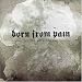 Born From Pain-In Love with the End