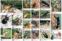 500ラージピース 兜虫と鍬形虫