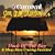 Carnival Steel Drum Collection: Dock Of The Bay & More, Vol. 4