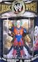 Jakks Pacific WWE Classic Superstars Series No. 19 Evil Doink
