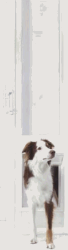 Ideal Pet Products 90200 Standard Vinyl Insulated Patio Pet Door - 92.75-94.5 Inch Height