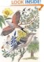 Heralds of Spring in Texas (Louise Lindsey Merrick Natural Environment Series)