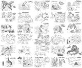 『ONE PIECE FILM STRONG WORLD』先着入場特典 モンスタースペシャルポストカード 【全30種セット】の画像