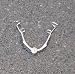 Smith Eye Specula Quality German Stainless Steel