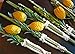 Kosher Certified Lulav and Esrog Etrog Set For Sukkos