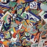 10 Pounds of Broken Talavera Mexican Ceramic Tile in Mixed Decorative Designs
