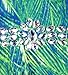 ANGEL FASHIONS Women's Chiffon Strapless Rhinestone Peacock Painting Prom Dresses