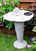 SOLAR FROG BIRD BATH