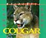 Cougar (Wildcats! of North America)