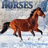 Horses 2012 Wall Calendar #30122-12