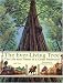 The Ever-Living Tree: The Life and Times of a Coast Redwood