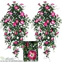 TWO 40" Morning Glory Artificial Hanging Flower Bushes