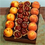 Summer Fruits Collection