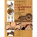 Manuel de sculpture sur bois. Initiation et technologie