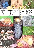 いろいろたまご図鑑