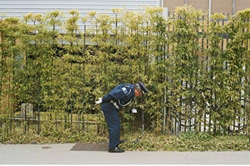 Good Luck and Do Your Best