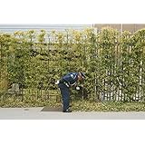 [Image: 611C525C6xL._AC_US160_.jpg]