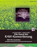 Die Kunst der RAW-Konvertierung