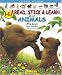Search : Hi! Read, Stick and Learn About Animals: Little Bears Are Brown