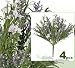 FOUR 14" Wild Flower Mixed Arrangement Bush