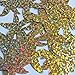 Sequin Starfish 1.5