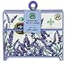 Michel Design Works Lavender Scented Notecards