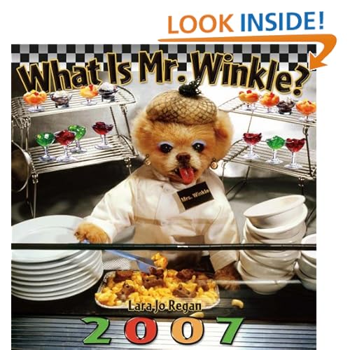 Pomeranian Mr Winkle