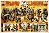 WONDERFUL A4 GLOSSY PRINT - RINGLING BROS - FEATURING LOCKHART - MARVELOUS ACTING PACHYDERMS - CIRCA 1899 (A4 PRINTS - VINTAGE CIRCUS FLYERS / ADVERTISING POSTERS)