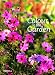 Colour in the Garden