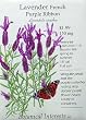 Lavender French Purple Ribbon Seeds 100 Seeds