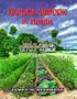 Vegetable Gardening in Florida
