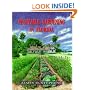 Vegetable Gardening in Florida