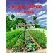 Vegetable Gardening in Florida