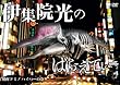 伊集院光のばらえてぃー　酩酊ドミノ　ハイパーの巻 [DVD]