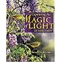 Capturing the Magic of Light in Watercolor