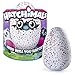 Hatchimals - Hatching Egg - Interactive Creature - Bearakeet - Pink/Black Egg - Target Exclusive by Spin Master