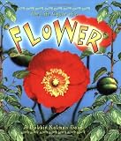The Life Cycle of a Flower