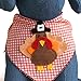 Tail Trends Thanksgiving Turkey Dog Bandana with Designer Applique 100% Cotton (Medium)