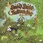 Smiley Smile/Wild Honey